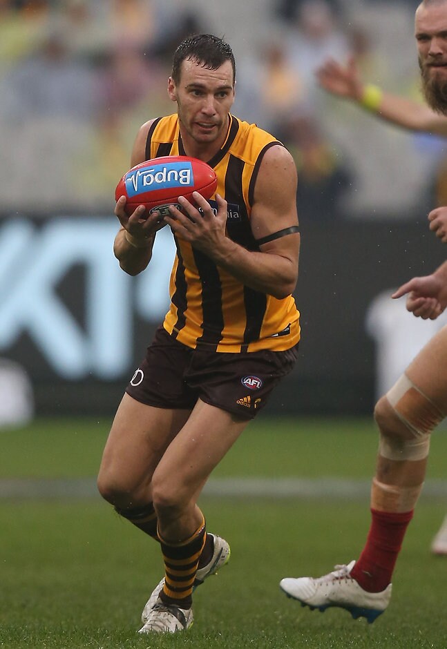 AFL 2016 Rd 11 - Hawthorn v Melbourne MELBOURNE, AUSTRALIA - JUNE 04: Jonathon Ceglar of the Hawks in action during the 2016 AFL Round 11 match between the Hawthorn Hawks and the Melbourne Demons at the Melbourne Cricket Ground on June 4, 2016 in Melbourne, Australia. (Photo by Sean Garnsworthy/AFL Media)